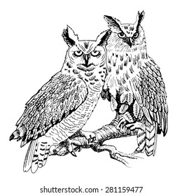 Vector seamless pattrn with owls on a branch. White and black. Line drawing.