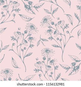 Vector seamless Pink pattern with tea leaves and chamomile herbs. Herbal natural aromatherapy drink for health.Botanical hand drawn illustration for print, wrapping, paper and other seamless design.