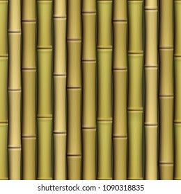 Vector seamless realistic illustration-old faded bamboo wall, eco-friendly natural wall texture of yellow brown green bamboo print.