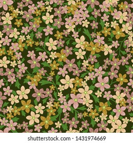 Vector seamless retro pattern, flowers saxifrage. Fills, wallpaper, surface textures.