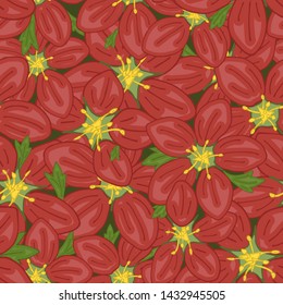 Vector seamless retro pattern, flowers saxifrage. Fills, wallpaper, surface textures.