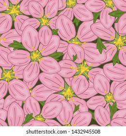 Vector seamless retro pattern, flowers saxifrage. Fills, wallpaper, surface textures.