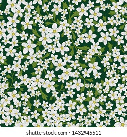 Vector seamless retro pattern, flowers saxifrage. Fills, wallpaper, surface textures.