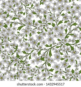 Vector seamless retro pattern, flowers saxifrage. Fills, wallpaper, surface textures.