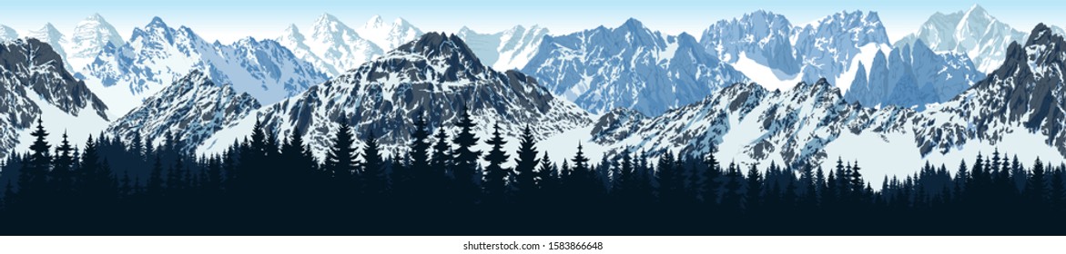 vector seamless Rocky Mountain National Park with woodland background illustration