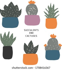 Vector seamless set of house plants in pots hand drawing in flat style . Colorful botanical illustration of succulents and cactuses. Good for posters, postcards and etc.