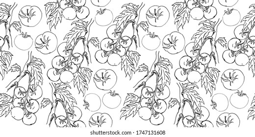 boceto sin costuras vectorial de una rama de tomate