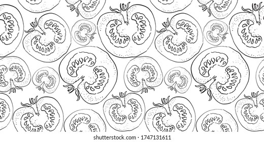 vector seamless sketch of a half of tomato. vertical cut