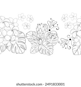 Vector seamless summer border, pattern. Tropical flower bouquets - proteas and plumeria ornament. Hand drawn graphic. Black circuit silhouette