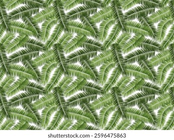 Vector seamless summer green palm leaves on white background.