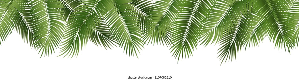 Vector Seamless Summer Palm Leaves On White Background.