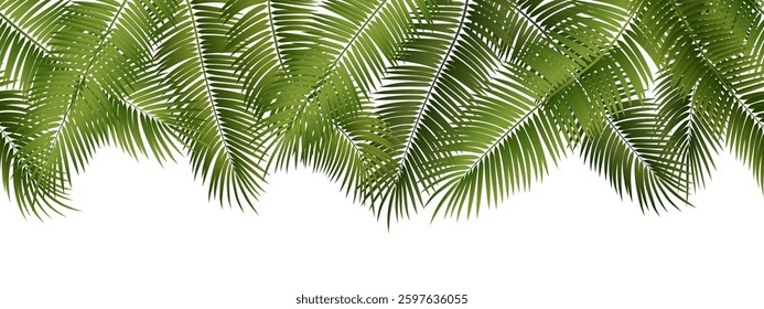 Vector seamless summer palm leaves on white background.