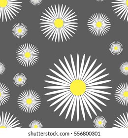 Vector seamless texture background for wrapping paper. Chamomile daisy flower decoration pattern design