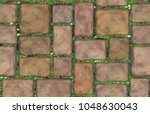 Vector seamless texture brown stones  pavement  covered grass.