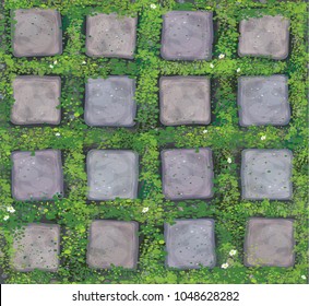 Vector seamless texture gray stones  pavement  covered grass.