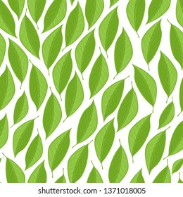 Vector seamless texture with green leaves on a white background
