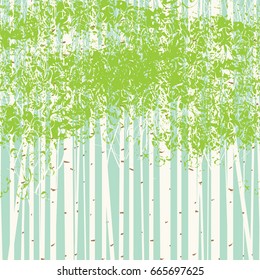 Vector seamless texture with the image of the birch trees on blue sky background. Spring birch forest vector background. The picture birch grove.