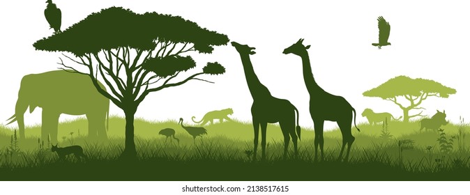 Vector seamless tropical african savannah with giraffe, caracal, vulture, eagle, lion,  elephant, leopard, crane and warthog