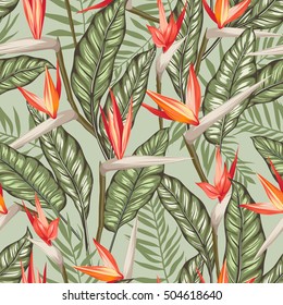 vector seamless tropical bird of paradise plant pattern with leaves, exotic flower blooming in summer. modern graphical floral background allover print. all elements are separate and editable.