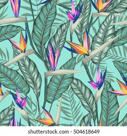 vectorial pájaro tropical sin fisuras de planta paradisíaca con hojas, flor exótica floreciendo en verano. fondo floral gráfico moderno impreso. todos los elementos son independientes y editables.