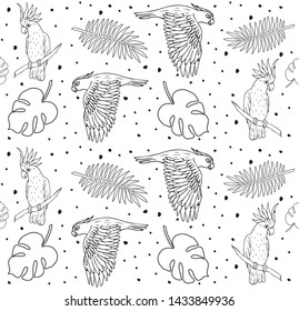 Vector seamless tropical floral pattern of hand drawn doodle sketch parrot isolated on white background