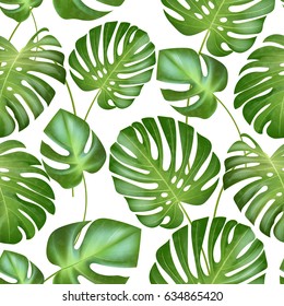 Vector seamless tropical leaves pattern. Greens leaves of exotic monstera plant. 