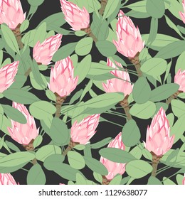 Vector seamless tropical pattern, vivid tropic foliage, with pink protea flower  in bloom. Modern dark summer print design. Black background.