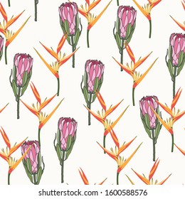 Vector seamless tropical pattern, vivid tropic foliage, with bird of paradise flower, heliconia, protea in bloom. Light vintage background.