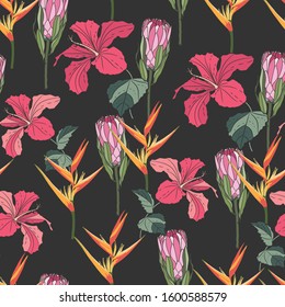 Vector seamless tropical pattern, vivid tropic foliage, with bird of paradise flower, heliconia, protea, hibiscus in bloom. Dark vintage background.