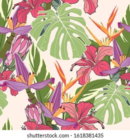 Vector seamless tropical pattern, vivid tropic foliage, with bird of paradise flower, heliconia, bananas, hibiscus in bloom and leaves. Light vintage background.