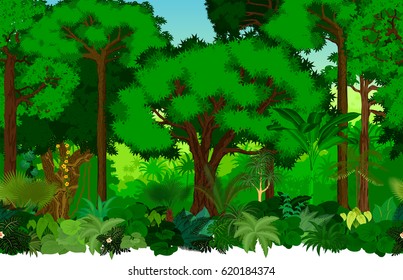 4,522 Tropical Rainforest Floor Images, Stock Photos & Vectors ...