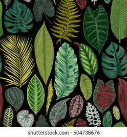 Vector seamless vintage floral pattern. Exotic leaves. Botanical classic illustration. Vivid