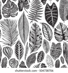 Vector seamless vintage floral pattern. Exotic leaves. Botanical classic illustration. Black and white