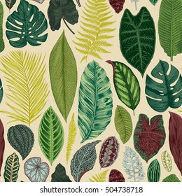 Vector seamless vintage floral pattern. Exotic leaves. Botanical classic illustration. Colorful