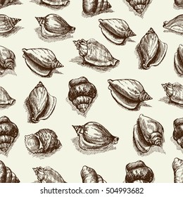 Vector seamless vintage sketch of seashells isolated on white background. Hand-drawn sea animals