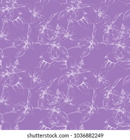 Vector seamless Violet herbal pattern with italian spice Basil. Hand drawn botanical illustration for print, wrapping, wallpaper, fabric and other floral design. Engraved cartoon.