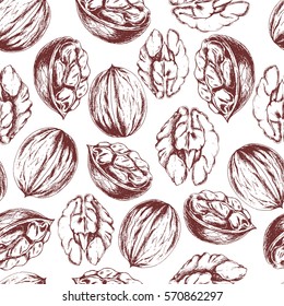 Vector seamless walnut pattern on white background. Hand drawn healthy food illustration in vintage style for print, fabric, textile, wrapping and other seamless design in sketch style.