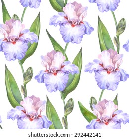 Vector seamless watercolor pattern with beautiful light iris flowers