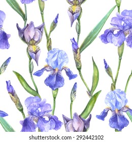 Vector seamless watercolor pattern with iris flowers, buds and leaves