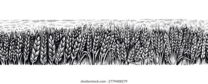 Vector seamless wheat field sketch, endless rural landscape panorama in engraving style.