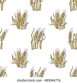 Vector seamless wheat pattern. Thanksgiving day. Harvest time. Boundless background for your design.