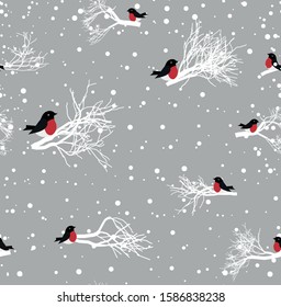 vector seamless winter pattern in bullfinches