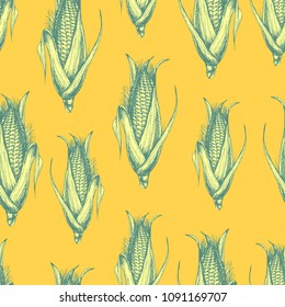 Vector seamless yellow food pattern with corn. Hand drawn illustration with healthy vegetables for print, wrapping, paper, fabric and other seamless design in sketch style. Ink drawn engraving.