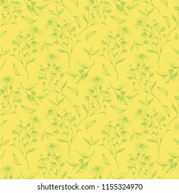 Vector seamless yellow pattern with tea leaves and chamomile herbs. Herbal natural aromatherapy drink for health.Botanical hand drawn illustration for print, wrapping, paper and other seamless design.