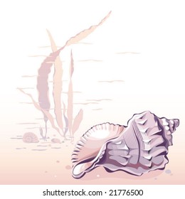 Vector Seashell