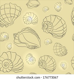 vector seashell background
