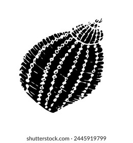Vector seashell black silhouette illustration. Hand drawn maritime seashell sketch. Monochrome undersea seashell drawing. Isolated design element in silhouette style for icon, logo, seafood shop, menu