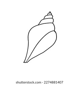 Arte de línea de contorno de conchas de vectores. Ilustración simple, silueta aislada en fondo blanco.