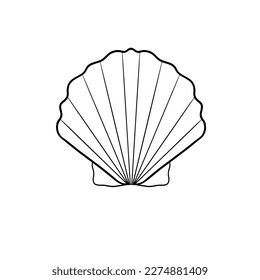 Arte de línea de contorno de conchas de vectores. Ilustración simple, silueta aislada en fondo blanco.