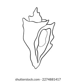 Vector seashell contour line art. Simple illustration, silhouette, isolated on white background.